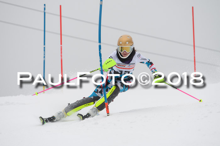 FIS Slalom Damen + Herren 23.02.2018