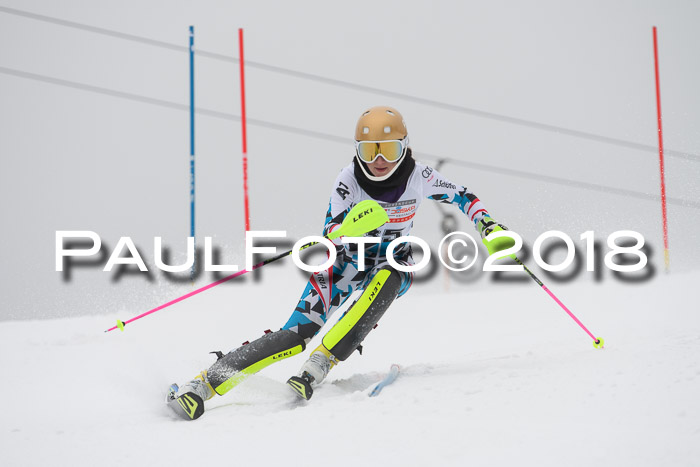 FIS Slalom Damen + Herren 23.02.2018