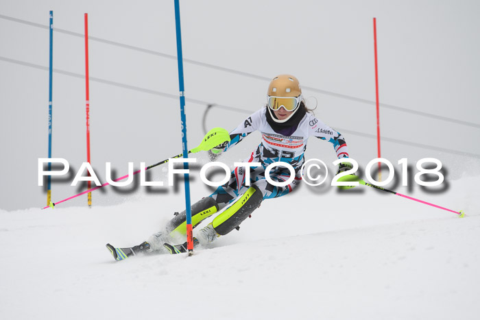 FIS Slalom Damen + Herren 23.02.2018