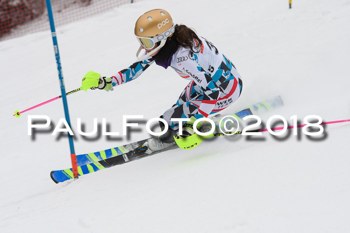 FIS Slalom Damen + Herren 23.02.2018