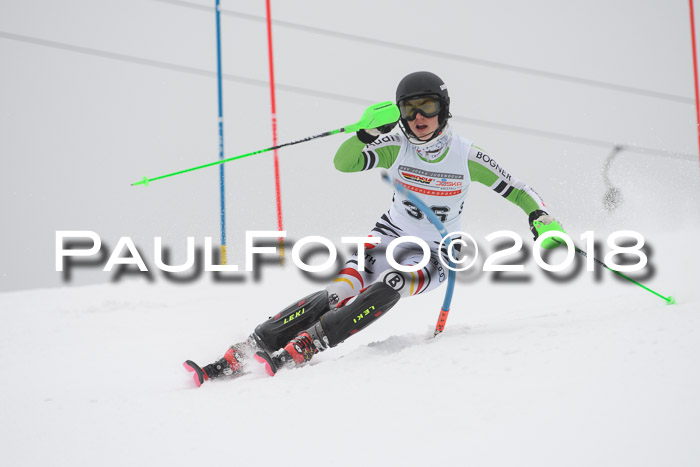 FIS Slalom Damen + Herren 23.02.2018