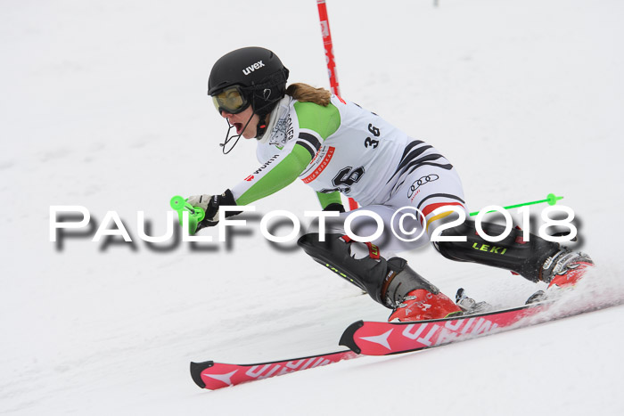 FIS Slalom Damen + Herren 23.02.2018