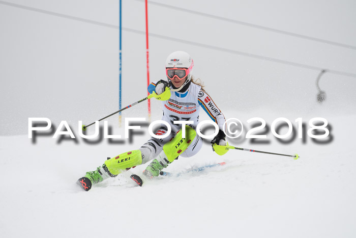 FIS Slalom Damen + Herren 23.02.2018