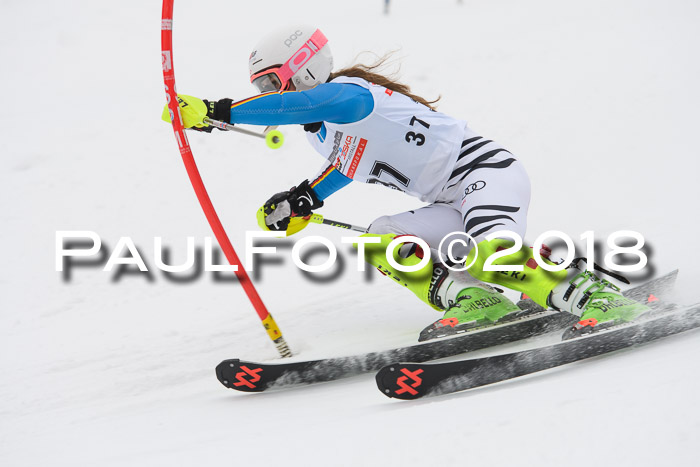 FIS Slalom Damen + Herren 23.02.2018