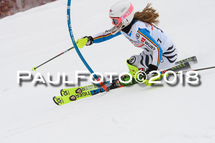 FIS Slalom Damen + Herren 23.02.2018