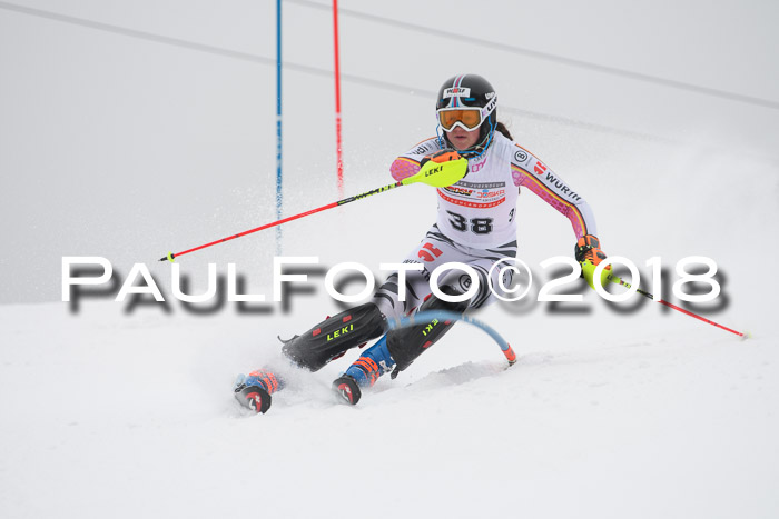 FIS Slalom Damen + Herren 23.02.2018