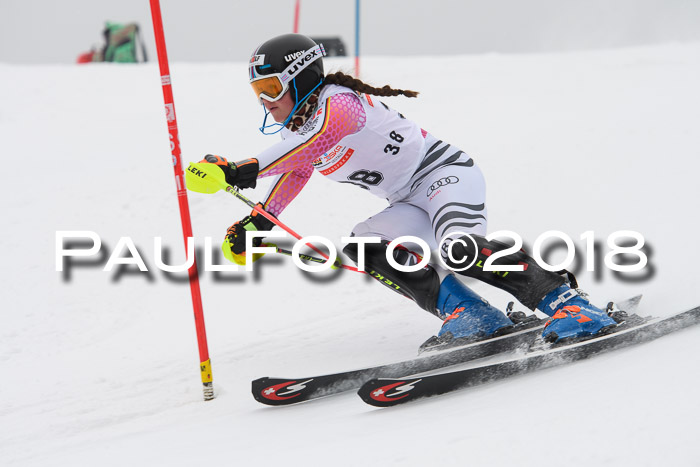 FIS Slalom Damen + Herren 23.02.2018