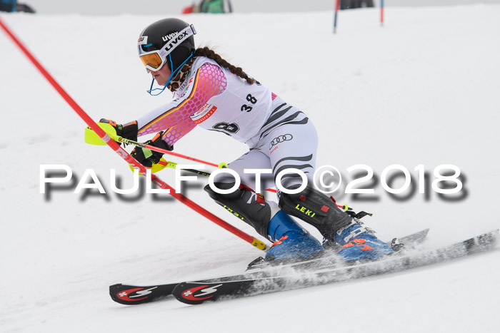 FIS Slalom Damen + Herren 23.02.2018