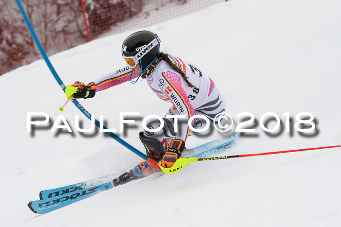 FIS Slalom Damen + Herren 23.02.2018