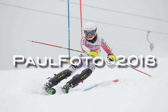 FIS Slalom Damen + Herren 23.02.2018