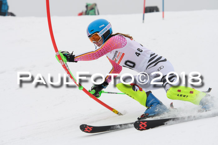 FIS Slalom Damen + Herren 23.02.2018