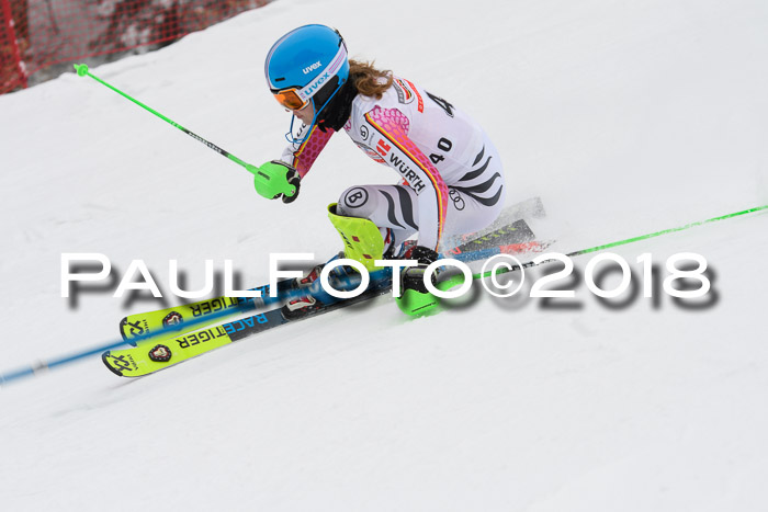 FIS Slalom Damen + Herren 23.02.2018