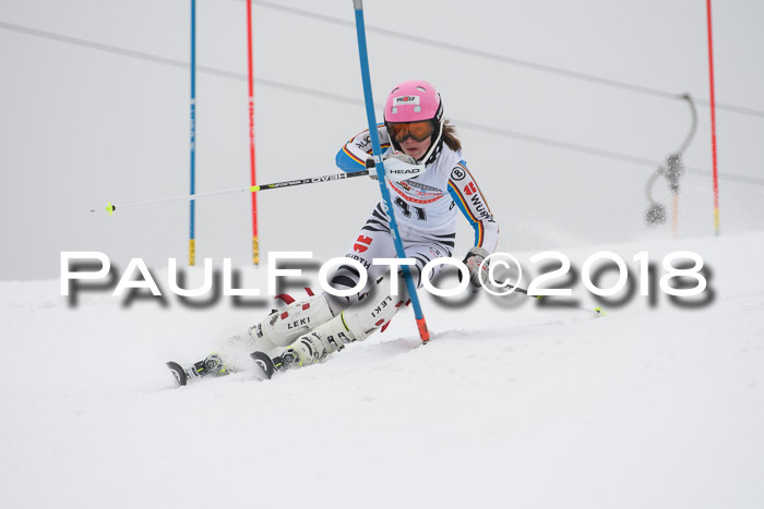 FIS Slalom Damen + Herren 23.02.2018