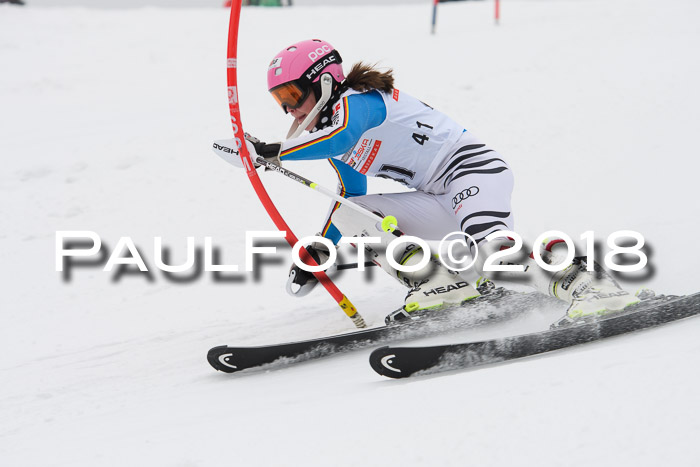 FIS Slalom Damen + Herren 23.02.2018
