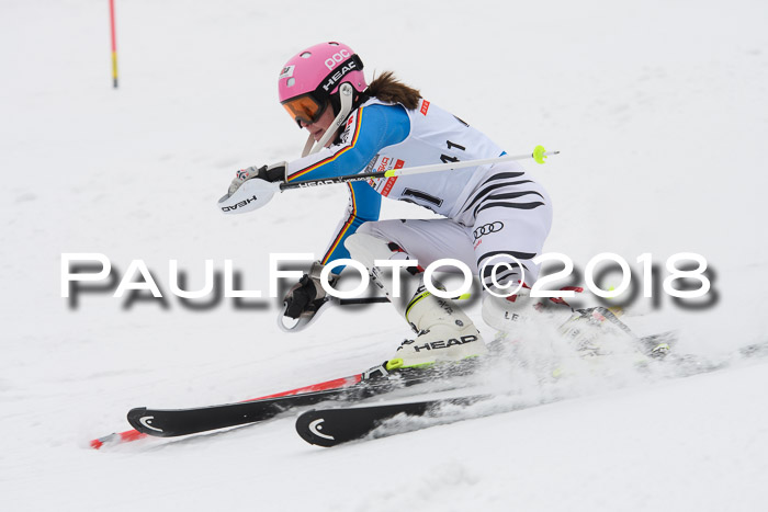 FIS Slalom Damen + Herren 23.02.2018
