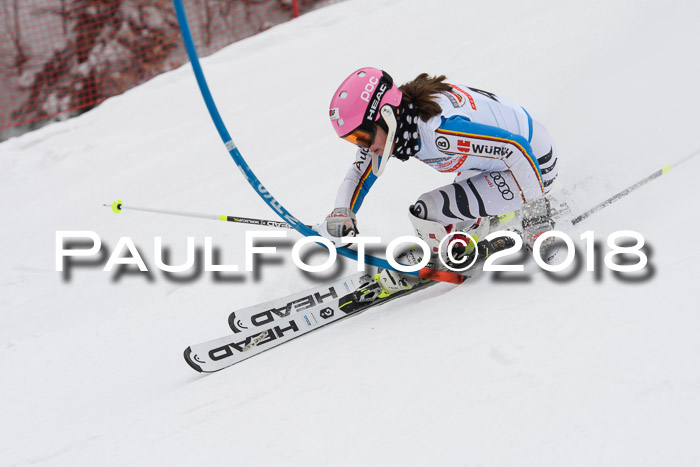 FIS Slalom Damen + Herren 23.02.2018