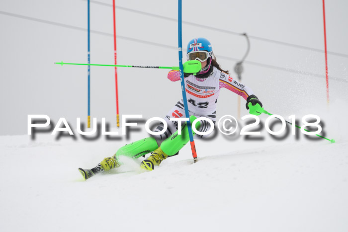 FIS Slalom Damen + Herren 23.02.2018