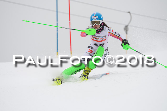 FIS Slalom Damen + Herren 23.02.2018