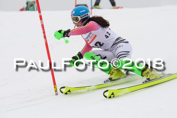 FIS Slalom Damen + Herren 23.02.2018