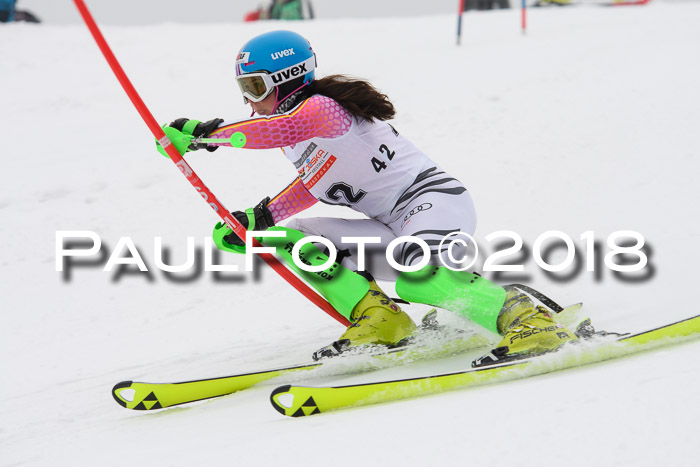 FIS Slalom Damen + Herren 23.02.2018
