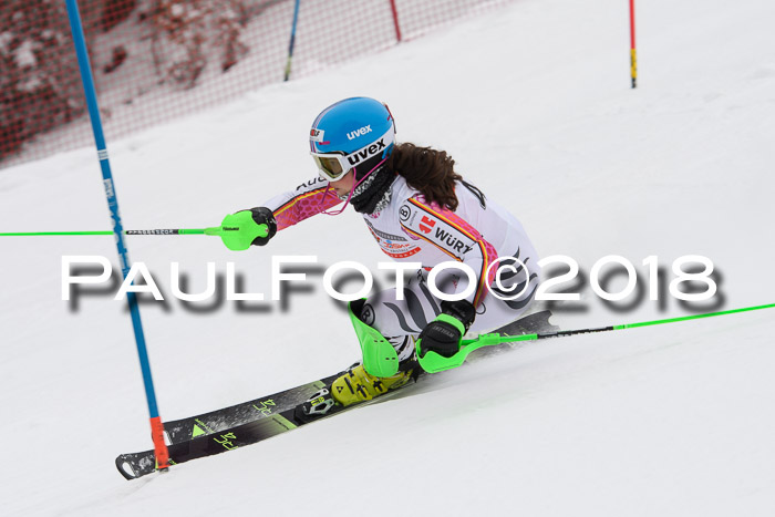 FIS Slalom Damen + Herren 23.02.2018