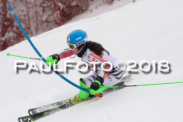 FIS Slalom Damen + Herren 23.02.2018