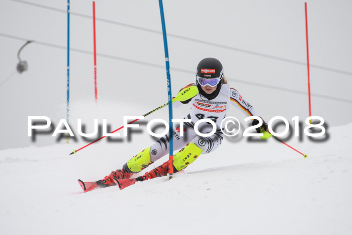 FIS Slalom Damen + Herren 23.02.2018