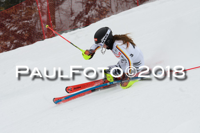 FIS Slalom Damen + Herren 23.02.2018