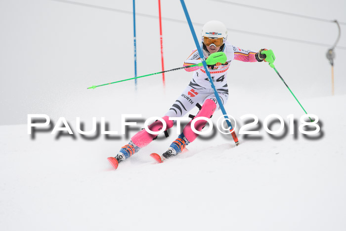 FIS Slalom Damen + Herren 23.02.2018