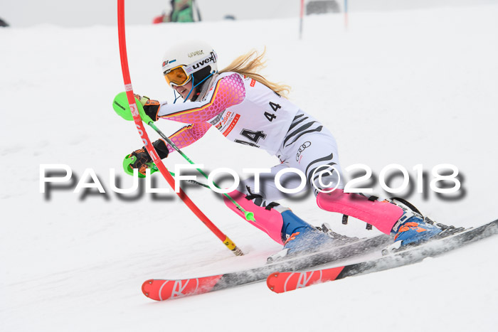FIS Slalom Damen + Herren 23.02.2018