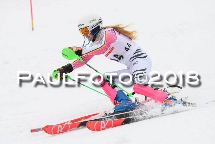 FIS Slalom Damen + Herren 23.02.2018