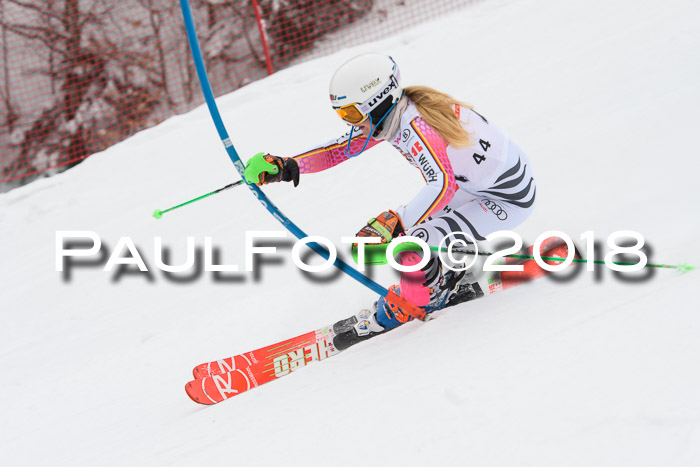 FIS Slalom Damen + Herren 23.02.2018