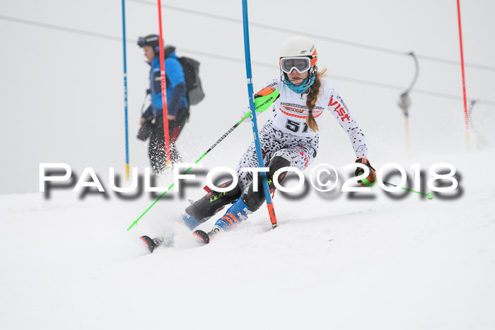 FIS Slalom Damen + Herren 23.02.2018