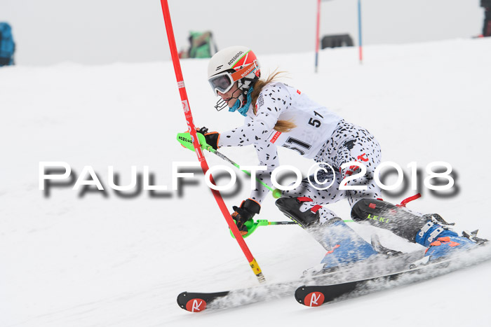 FIS Slalom Damen + Herren 23.02.2018