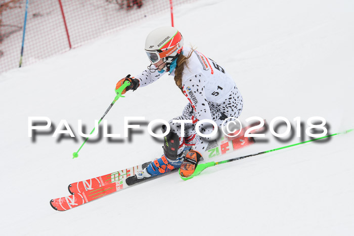 FIS Slalom Damen + Herren 23.02.2018