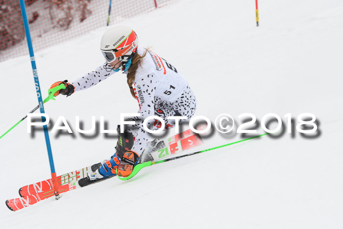 FIS Slalom Damen + Herren 23.02.2018