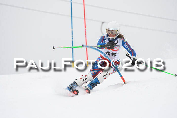 FIS Slalom Damen + Herren 23.02.2018