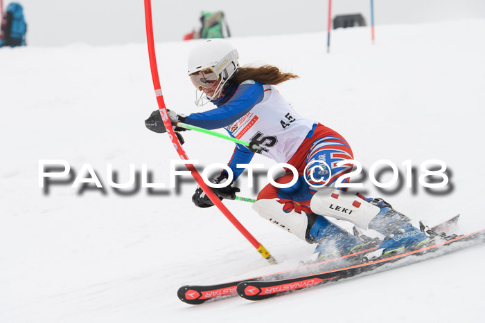 FIS Slalom Damen + Herren 23.02.2018