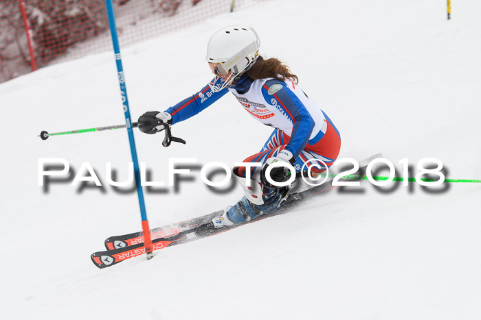 FIS Slalom Damen + Herren 23.02.2018