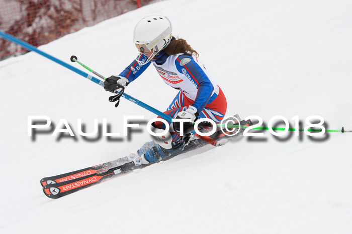 FIS Slalom Damen + Herren 23.02.2018
