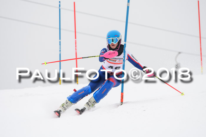 FIS Slalom Damen + Herren 23.02.2018