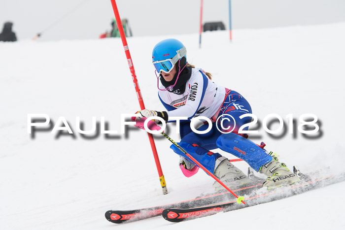 FIS Slalom Damen + Herren 23.02.2018