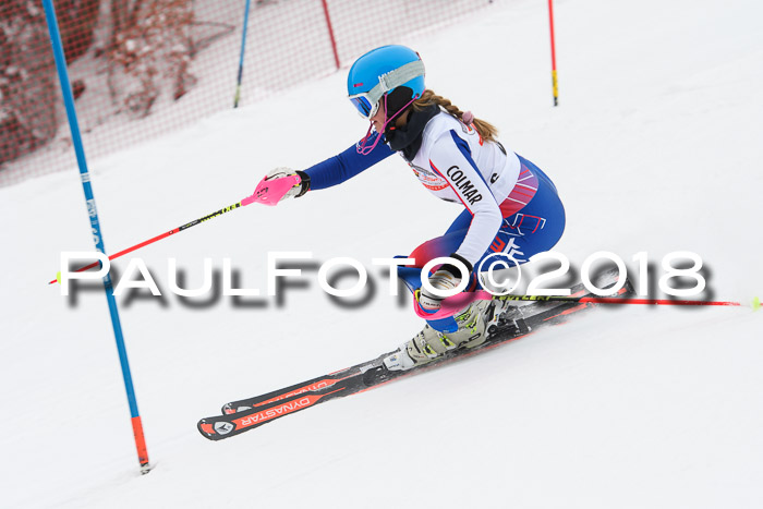 FIS Slalom Damen + Herren 23.02.2018