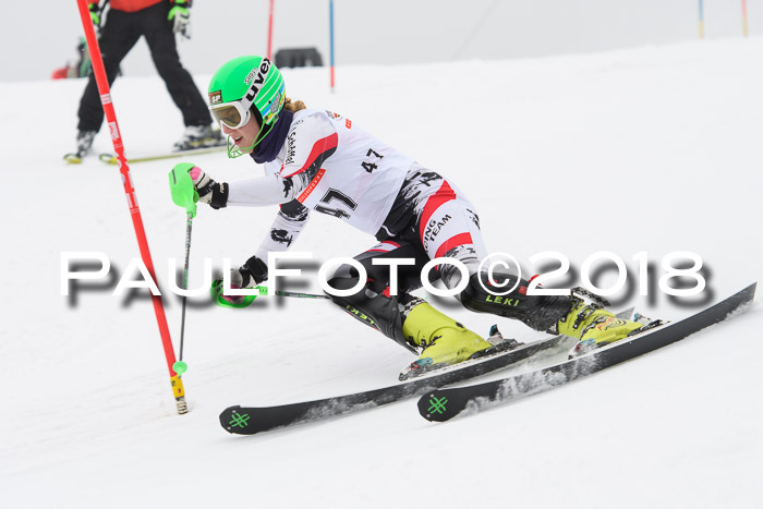 FIS Slalom Damen + Herren 23.02.2018