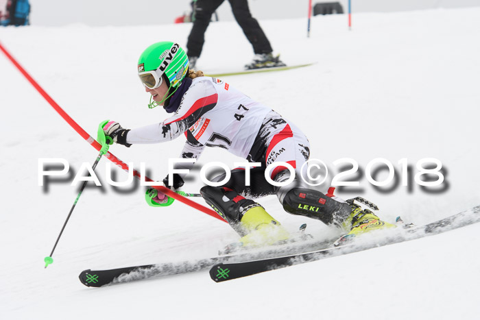 FIS Slalom Damen + Herren 23.02.2018