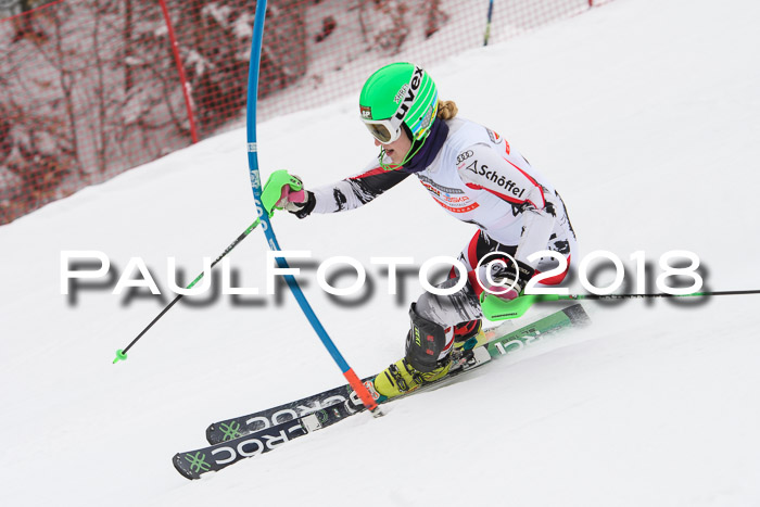 FIS Slalom Damen + Herren 23.02.2018