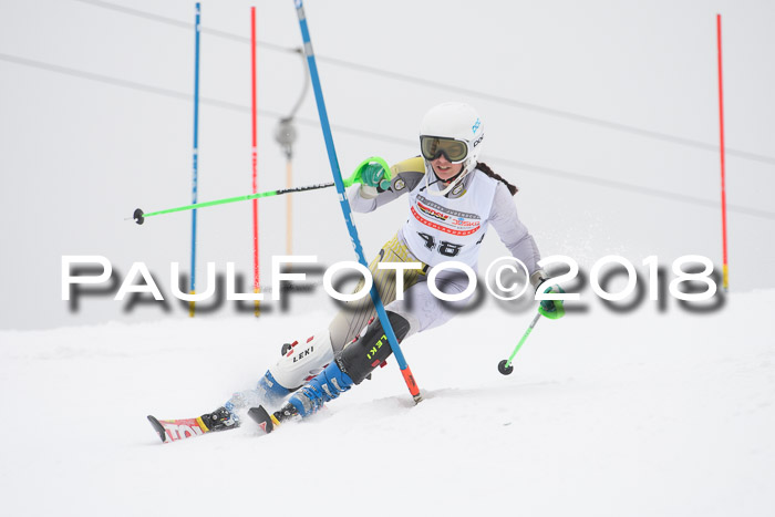 FIS Slalom Damen + Herren 23.02.2018