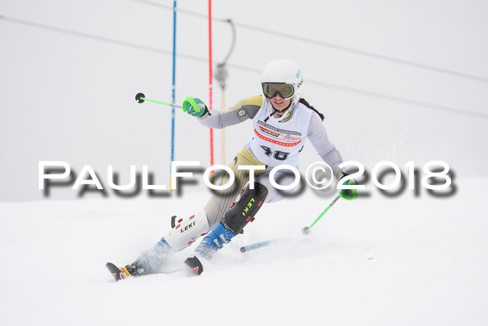 FIS Slalom Damen + Herren 23.02.2018
