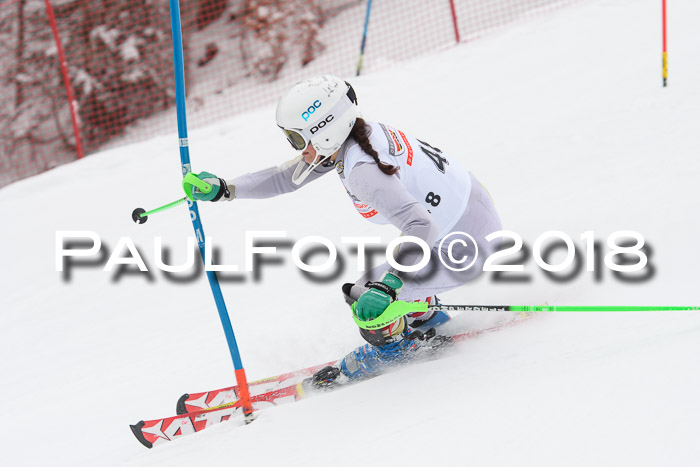 FIS Slalom Damen + Herren 23.02.2018
