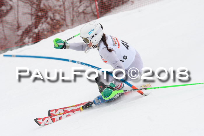FIS Slalom Damen + Herren 23.02.2018